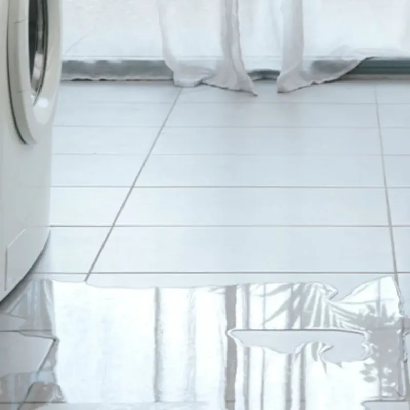 Appliance Leak Cleanup in Humble, TX
