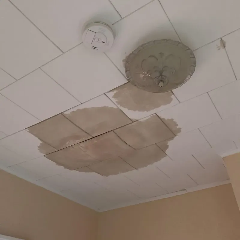 Ceiling Water Damage Repair in Humble, TX