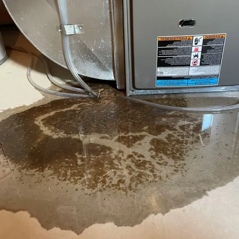 Pipe Burst and Leak Restoration in Humble, TX